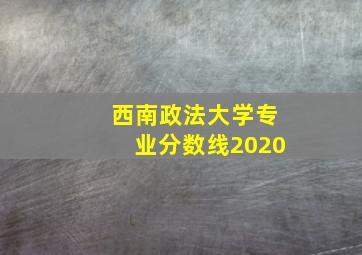 西南政法大学专业分数线2020