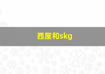 西屋和skg