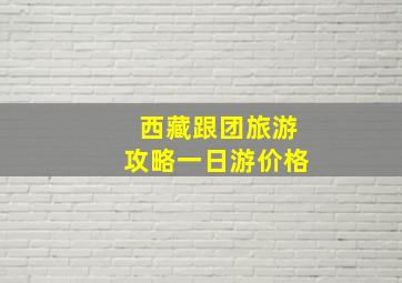 西藏跟团旅游攻略一日游价格