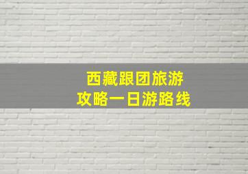 西藏跟团旅游攻略一日游路线