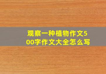 观察一种植物作文500字作文大全怎么写