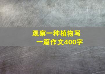 观察一种植物写一篇作文400字