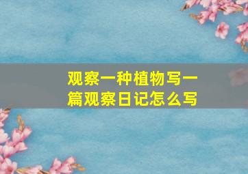 观察一种植物写一篇观察日记怎么写