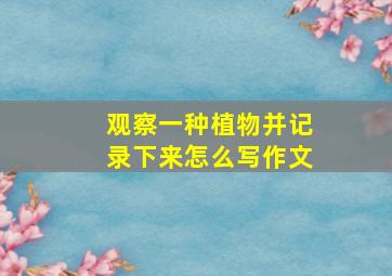 观察一种植物并记录下来怎么写作文