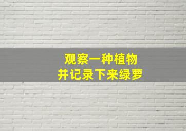 观察一种植物并记录下来绿萝