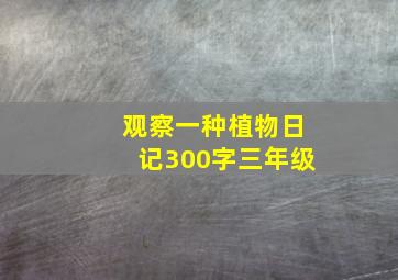 观察一种植物日记300字三年级