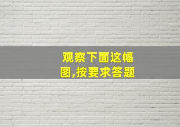 观察下面这幅图,按要求答题