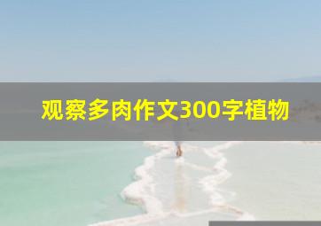 观察多肉作文300字植物