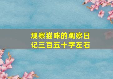 观察猫咪的观察日记三百五十字左右