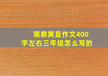 观察黄豆作文400字左右三年级怎么写的