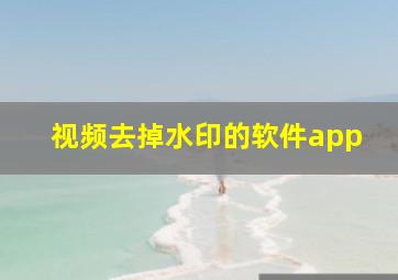 视频去掉水印的软件app