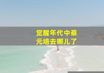 觉醒年代中蔡元培去哪儿了