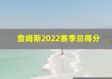 詹姆斯2022赛季总得分