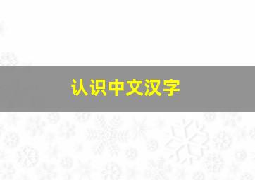 认识中文汉字