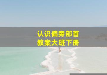 认识偏旁部首教案大班下册