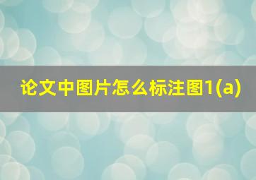 论文中图片怎么标注图1(a)