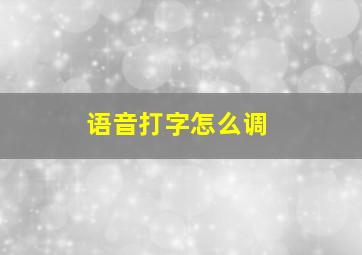 语音打字怎么调