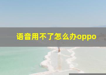 语音用不了怎么办oppo