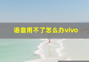 语音用不了怎么办vivo