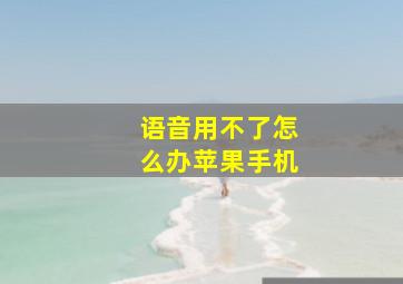 语音用不了怎么办苹果手机