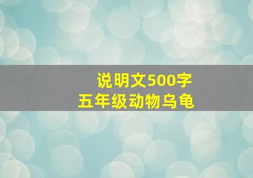 说明文500字五年级动物乌龟