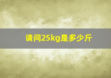 请问25kg是多少斤