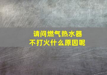 请问燃气热水器不打火什么原因呢