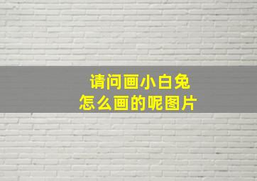 请问画小白兔怎么画的呢图片