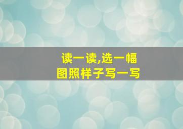 读一读,选一幅图照样子写一写