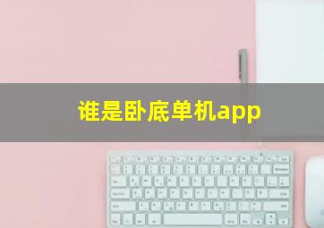 谁是卧底单机app