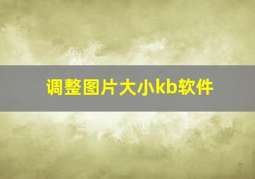 调整图片大小kb软件