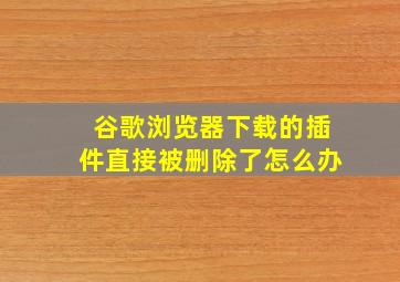 谷歌浏览器下载的插件直接被删除了怎么办