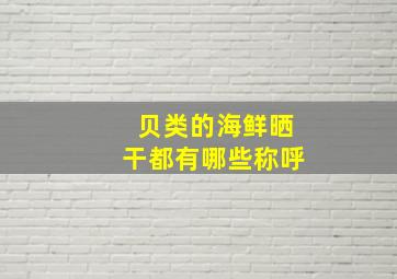 贝类的海鲜晒干都有哪些称呼