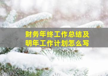 财务年终工作总结及明年工作计划怎么写