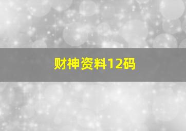 财神资料12码