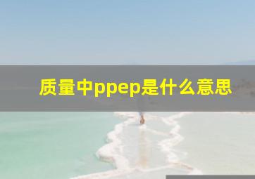 质量中ppep是什么意思