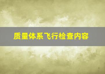 质量体系飞行检查内容