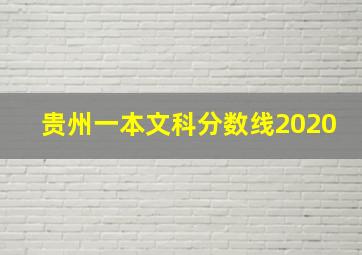 贵州一本文科分数线2020