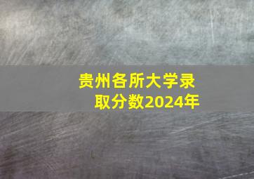 贵州各所大学录取分数2024年