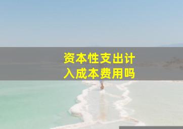 资本性支出计入成本费用吗