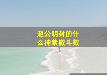 赵公明封的什么神紫微斗数