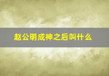 赵公明成神之后叫什么