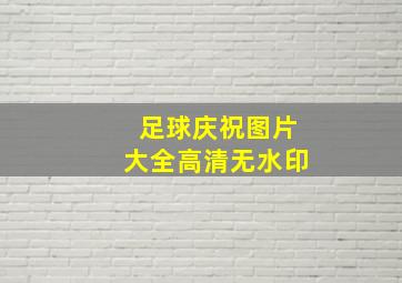 足球庆祝图片大全高清无水印