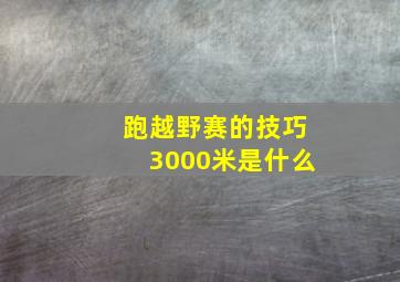 跑越野赛的技巧3000米是什么