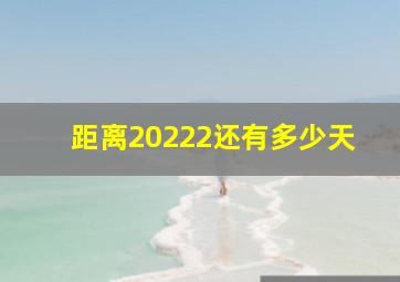 距离20222还有多少天