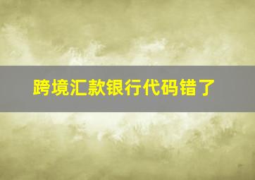 跨境汇款银行代码错了