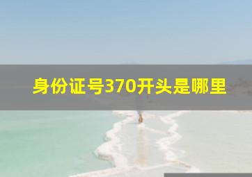 身份证号370开头是哪里