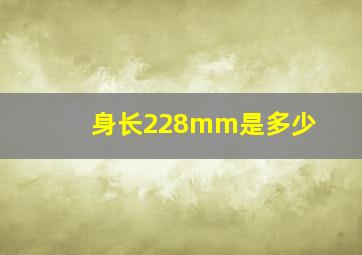 身长228mm是多少