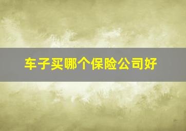 车子买哪个保险公司好