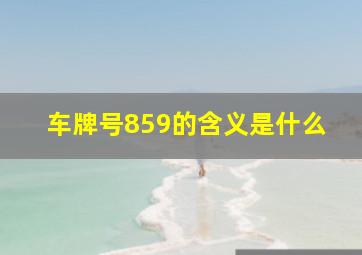 车牌号859的含义是什么